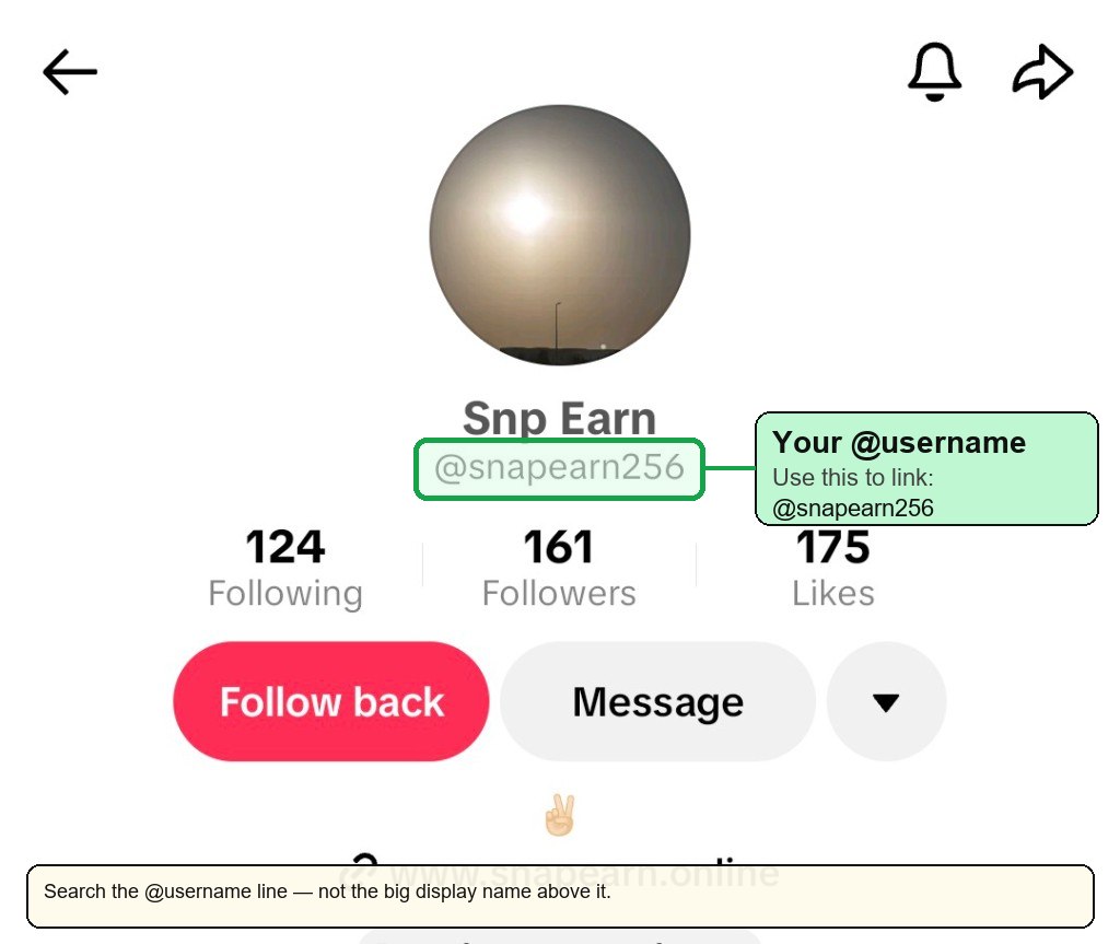 TikTok profile example showing @snapearn256 as the username to copy